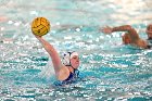 WWPolo @ CC  Wheaton College Women’s Water Polo at Connecticut College. - Photo By: KEITH NORDSTROM : Wheaton, water polo